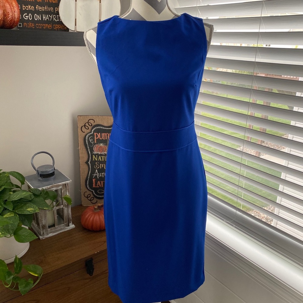 The Limited Dress NWT